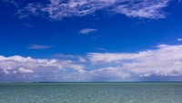 Shark Bay juga merupakan destinasi yang diakui oleh UNESCO karena fenomenanya yang tidak biasa (Instagram/w.w.w_photography)