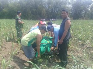 Pensiunan Polisi Ditemukan Meninggal di Kebun Jagung