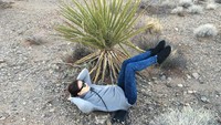 Petinju cantik ini seperti tak ada waktu untuk tidak berlatih. Saat berlibur ke Grand Canyon AS pun disempatkannya sit up (Dok. tomomitakano7/Instagram)