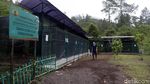 Melihat Konservasi Elang di Kamojang