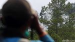 Melihat Konservasi Elang di Kamojang