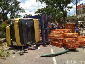 Truk Pengangkut 1.000 Ayam Potong Terguling di Tulungagung