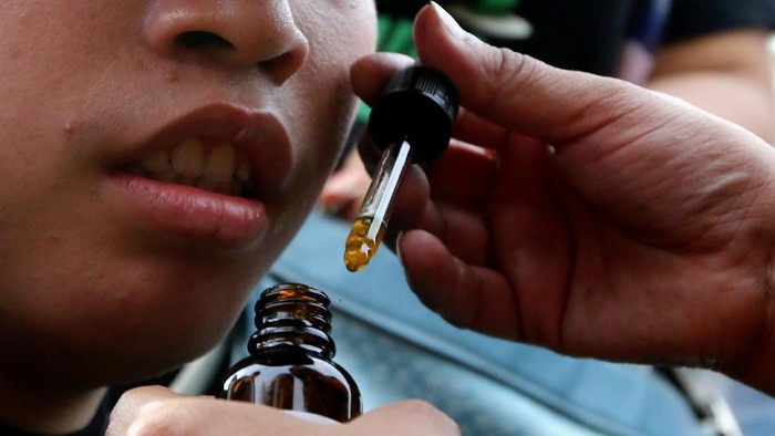 Peru Legalkan Ganja Medis