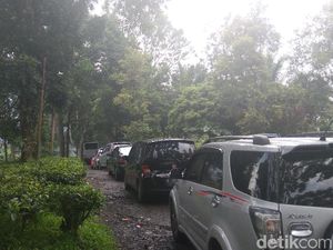 Sudah 3 Jam PNS DKI Peserta Tea Walk Terjebak di Gunung Mas