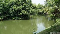 Faunaland terletak di area Allianz Ecopark. Kebun binatang mini yang satu ini punya aneka koleksi satwa menarik (shinta/detikTravel)