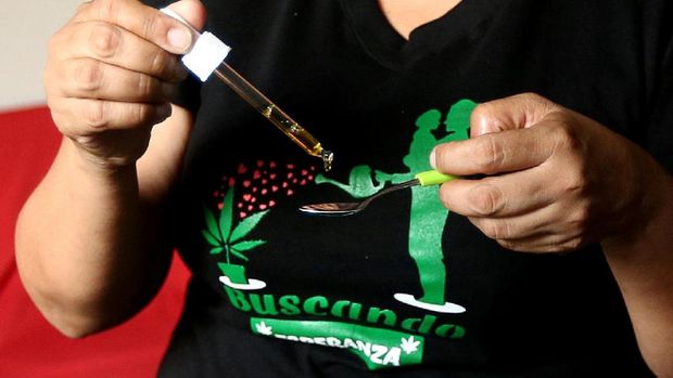 Seorang ibu memberikan minyak ganja pada anaknya yang sakit.