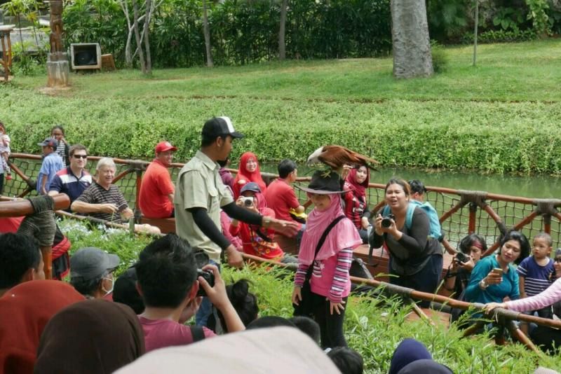 Kebun binatang mini di Ancol