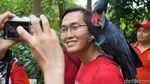 Foto: Singa Putih Sampai Kanguru Albino di Ancol