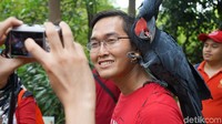 Para pengunjung pun juga dapat berinteraksi dengan burung. Tapi, tetap jangan menganggu mereka ya traveler (Shinta/detikTravel)
