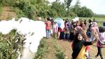 Foto: Gelembung Busa Raksasa di Jepara yang Bikin Penasaran