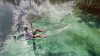 Di Apopka, Florida, AS, terdapat Get Up and Go Kayaking, sebuah agen tur yang menyediakan jasa berkeliling Kelly Park (Facebook/Get Up and Go Kayaking)