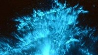 Mau mencobanya di malam hari? Coba Bioluminescent, traveler akan melihat air yang menyala dengan indah! (Facebook/Get Up and Go Kayaking)