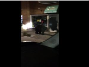 Waduh, Beruang Hitam Besar Berkeliaran di Pertokoan California