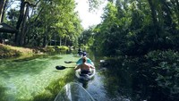 Di sana, terdapat rawa-rawa dengan air bening seperti kristal. Traveler pun bisa melihat aneka binatang dan tumbuhan laut dengan jelas (Facebook/Get Up and Go Kayaking)