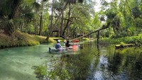 Suhu air di rawa ini terbilang cukup hangat. Bisa mencapai 21 derajat Celcius (Facebook/Get Up and Go Kayaking)