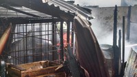 Penyebab kebakaran belum diketahui