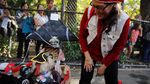 Lucunya! Anjing-anjing Ini Cosplay di Parade Halloween