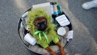 Seekor anjing berpakaian seperti Oscar the Grouch (REUTERS/Lucas Jackson)