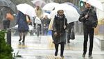 Melihat Aktivitas Warga Jepang di Tengah Topan