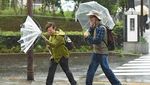 Melihat Aktivitas Warga Jepang di Tengah Topan