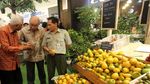 Keren! Buah dan Sayur Lokal Masuk Mal