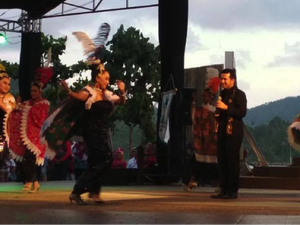 Festival Kesenian Kawasan Selatan 2017 Sukses Digelar