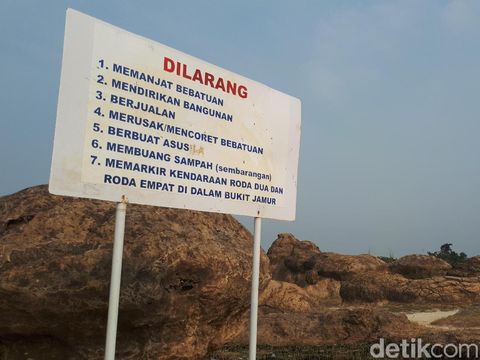 Batu jamur di Gresik/