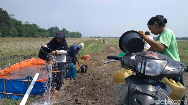 Warga Slangit Cirebon Tempuh Ribuan Meter untuk Air Bersih