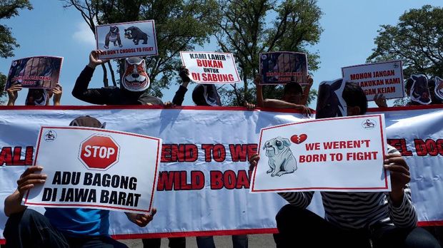 Aksi Teatrikal, Aktivis Desak Gubernur Jabar Larang Adu Bagong