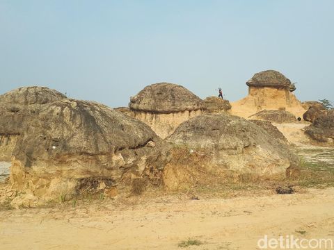 Batu Jamur di Gresik/