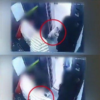 Foto rekaman CCTV anjing milik Choi Siwon yang menggigit orang.