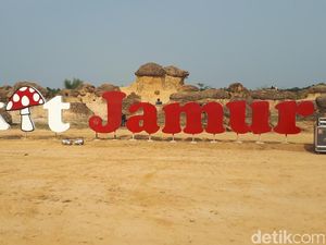 Tak Perlu Jauh ke Luar Negeri, Batu Jamur Juga Ada di Gresik