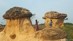 Foto: Bukit Jamur yang Unik di Gresik