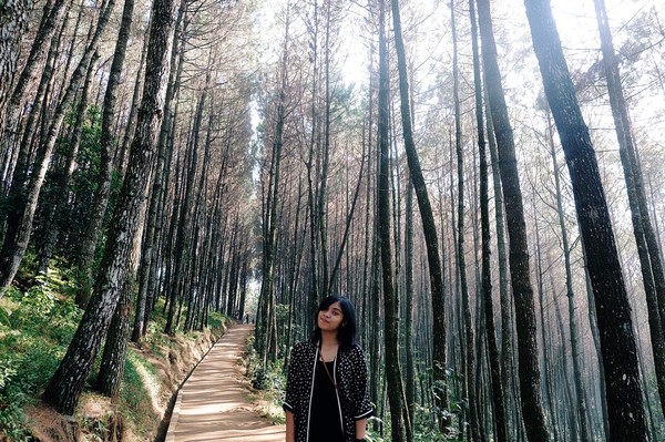 Gregoria juga pernah wisata ke Bukit Moko di Jawa Barat. Spot berfoto di antara pepohonan ini memang instagramable (greegoriaa/Instagram) Gregoria juga pernah wisata ke Bukit Moko di Jawa Barat. Spot berfoto di antara pepohonan ini memang instagramable (greegoriaa/Instagram)