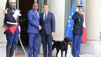 Contohnya saat Macron menyambut Presiden Niger, Mahamadou Issoufou pada 28 Agustus 2017. Nemo, yang baru diadopsi beberapa hari sebelumnya, ikut berdiri di samping Macron. (Foto: AFP PHOTO / LUDOVIC MARIN)