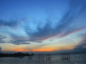 Dragon Boat Race Lahir dari Tradisi Satu Etnis di Tanjung Pinang