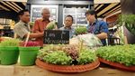 Keren! Buah dan Sayur Lokal Masuk Mal