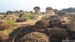 Foto: Bukit Jamur yang Unik di Gresik