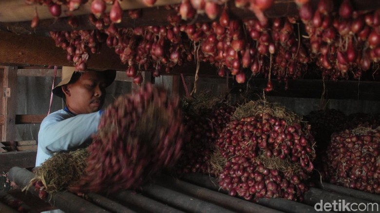 Harga Jual Anjlok, Petani Bawang Merah Brebes Gudangkan 