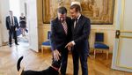 Foto: Nemo, Anjing yang Nyelonong Kencing Saat Presiden Rapat