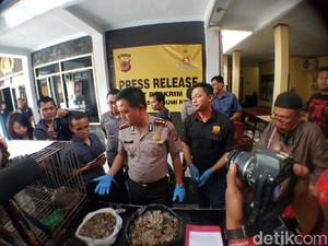 Polresta Sukabumi Gagalkan Penjualan Daging dan Sisik Trenggiling