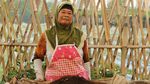 Melihat Pekerja Kebun Bibit di Maribaya Bandung