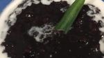 Tanggal Tua Bubur Manis yang Hangat Mengenyangkan Bisa Jadi Pilihan Sarapan