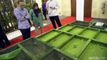 Keren! Ratusan Riset Karya Anak Bangsa Mejeng di ISE 2017
