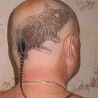 Model rambut buntut tikus ini bikin orang kesal sekaligus terhibur.  Foto: ist