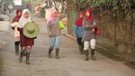 Melihat Pekerja Kebun Bibit di Maribaya Bandung