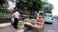 Pedagang buah menggelar lapak di atas trotoar Jalan Raya Bogor, Kramatjati, Jakarta Timur, Selasa (24/10/2017).