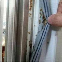 Dendam, Penyewa Ini Sengaja Sebarkan Ikan Mati di Kulkas hingga Loteng Rumah!