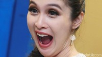 Bahkan ada produsen produk bayi yang mengontraknya dan memenuhi kebutuhan sang buah hati nanti. Pool/Ismail/detikFoto.