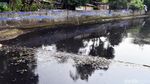 Membuat Kali Sekretaris Bersih Lagi